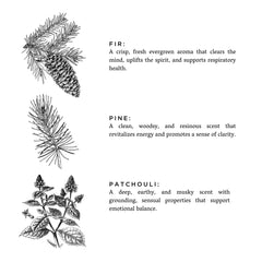 Forest Bathing Fir Pine Patchouli Signature Candle