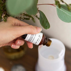 Essential Oil Diffuser Blends Aromatherapy Scent Collection