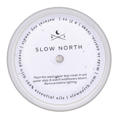 Forest Bathing Fir Pine Patchouli Signature Candle