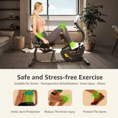 Recumbent Exercise Bike Magnetic Indoor Home Workout